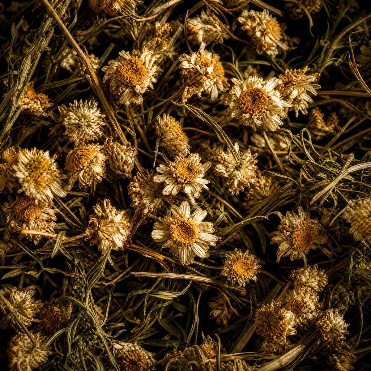 Aroma-Duft-Konzentrat Heublume