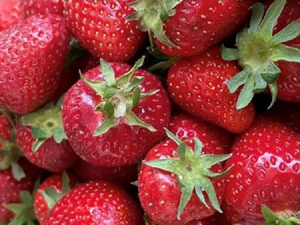 Aroma-Duft-Konzentrat Erdbeere
