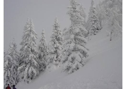 Sauna-Duft-Konzentrat Finnischer Winter