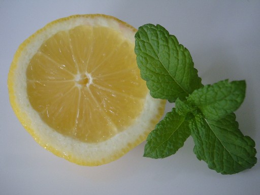 Aroma-Duft-Konzentrat Zitrone/Minze