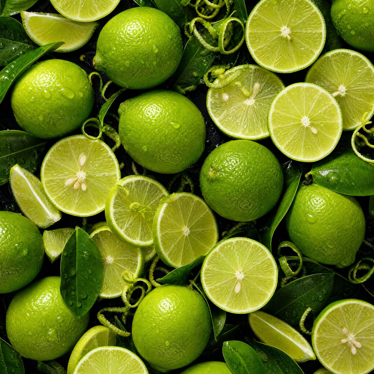 Natürliches ätherisches BIO-Öl Limette