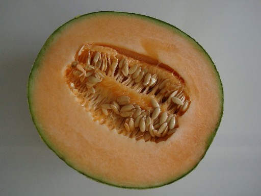 Sauna-Duft-Konzentrat Melone