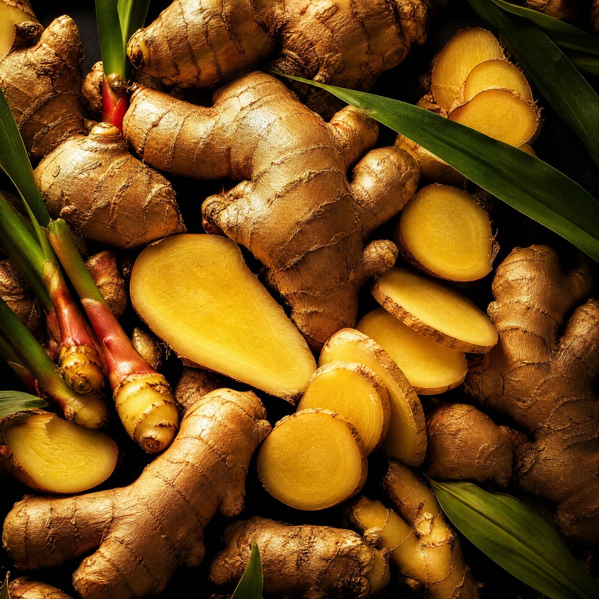 Natürliches ätherisches BIO-Öl Ingwer